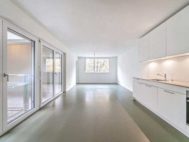 Rent a 2 ½ rooms apartment in Basel Flatfox