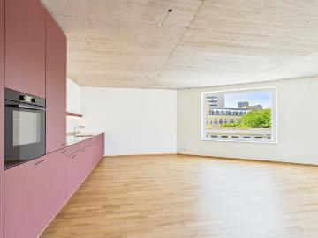 Rent a 2 ½ rooms apartment in Basel Flatfox