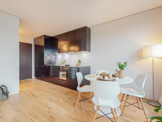 Rent a 2 ½ rooms apartment in Basel Flatfox