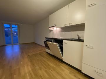 Rent a 2 ½ rooms apartment in Basel Flatfox