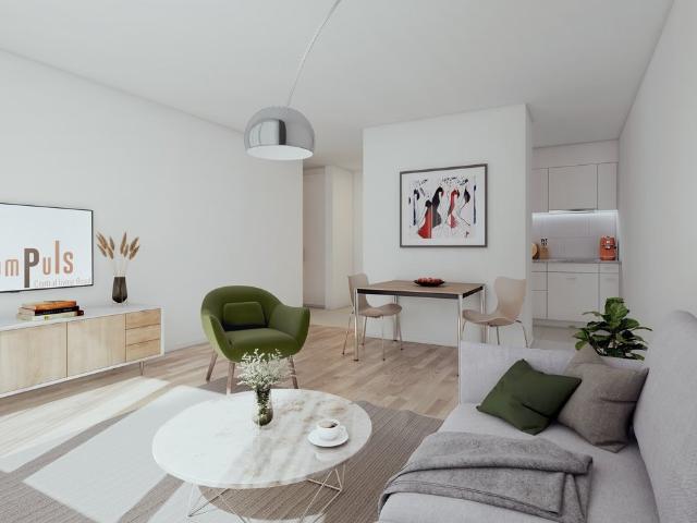 Rent a 2 ½ rooms apartment in Basel Flatfox