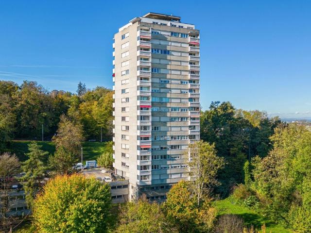 Rent a 2 ½ rooms apartment in Basel Flatfox