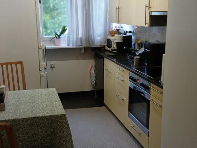 Rent a 2 rooms apartment in Basel Flatfox