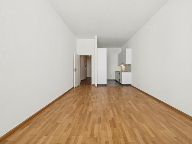 Rent a 2 rooms apartment in Basel Flatfox