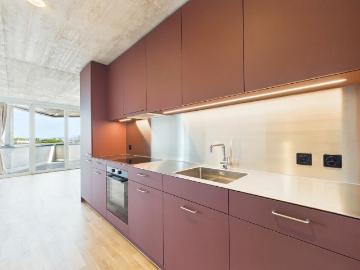 Rent a 2 ½ rooms apartment in Basel Flatfox