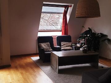 Rent a 2 ½ rooms apartment in Basel Flatfox