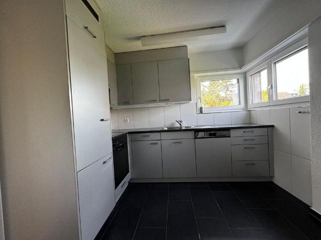 Rent a 2 ½ rooms apartment in Bergdietikon Flatfox