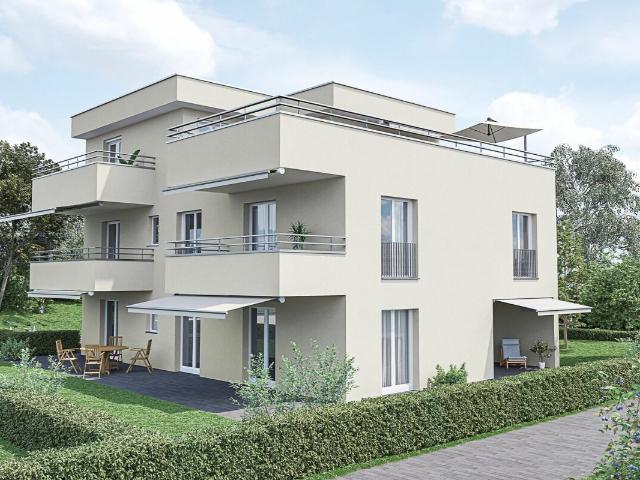 Rent a 2 rooms apartment in Berikon Flatfox