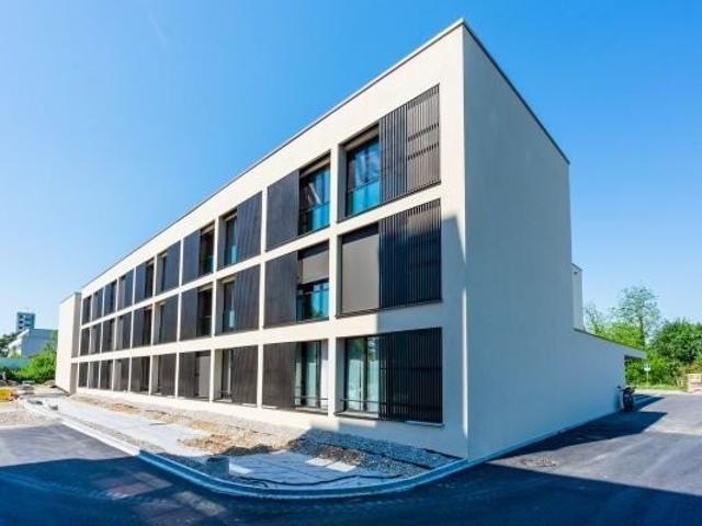 Rent a 2 ½ rooms apartment in Bern Flatfox