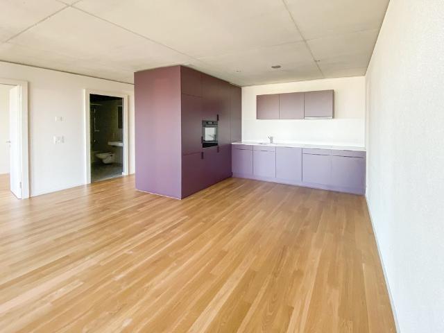 Rent a 2 ½ rooms apartment in Bern Flatfox