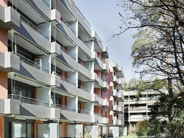 Rent a 2 ½ rooms apartment in Bern Flatfox