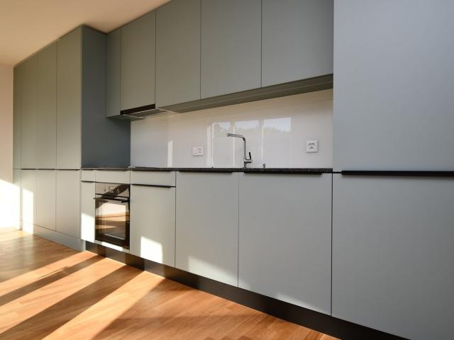 Rent a 2 ½ rooms apartment in Bern Flatfox