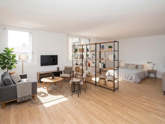 Rent a 2 ½ rooms apartment in Bern Flatfox