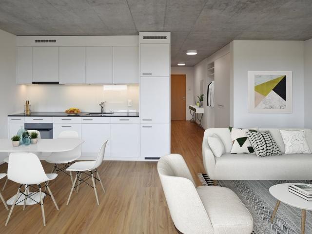 Rent a 2 ½ rooms apartment in Bern Flatfox