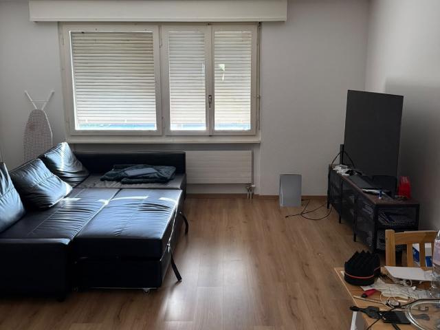 Rent a 2 rooms apartment in Biel Flatfox