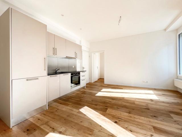 Rent a 2 ½ rooms apartment in Biel/Bienne Flatfox