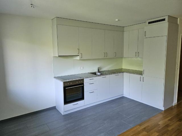 Rent a 2 ½ rooms apartment in Binningen Flatfox