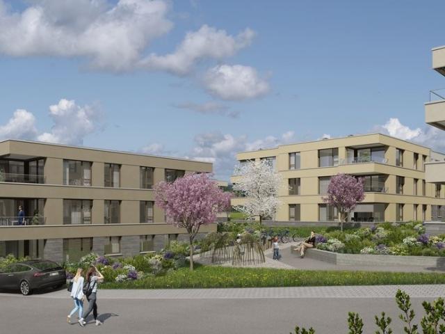 Rent a 2 ½ rooms apartment in Birmensdorf Flatfox