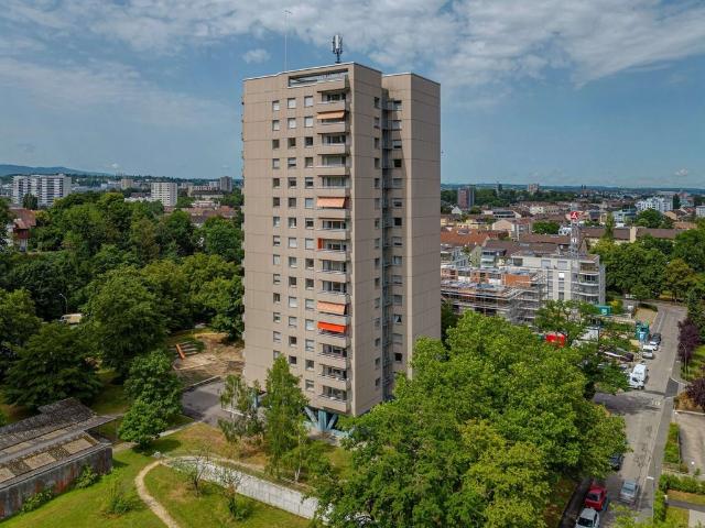 Rent a 2 rooms apartment in Birsfelden Flatfox