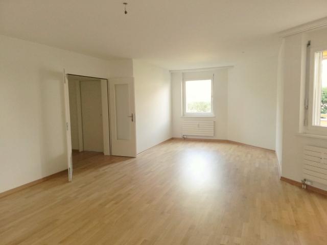 Rent a 2 rooms apartment in Birsfelden Flatfox