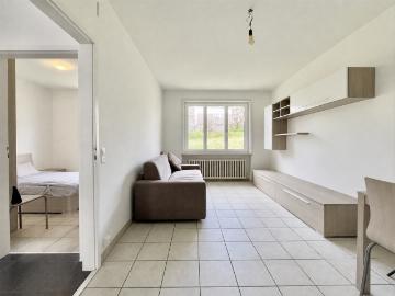 Rent a 2 rooms apartment in Breganzona Flatfox