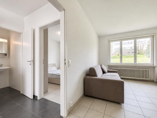 Rent a 2 rooms apartment in Breganzona Flatfox