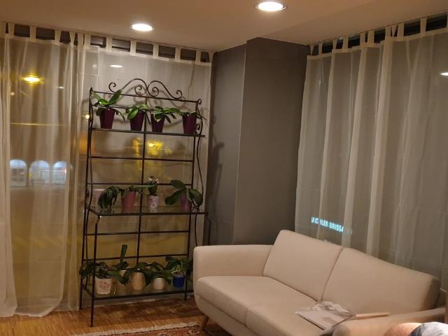 Rent a 2 ½ rooms apartment in Brissago Flatfox