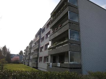 Rent a 2 ½ rooms apartment in Buchs AG Flatfox