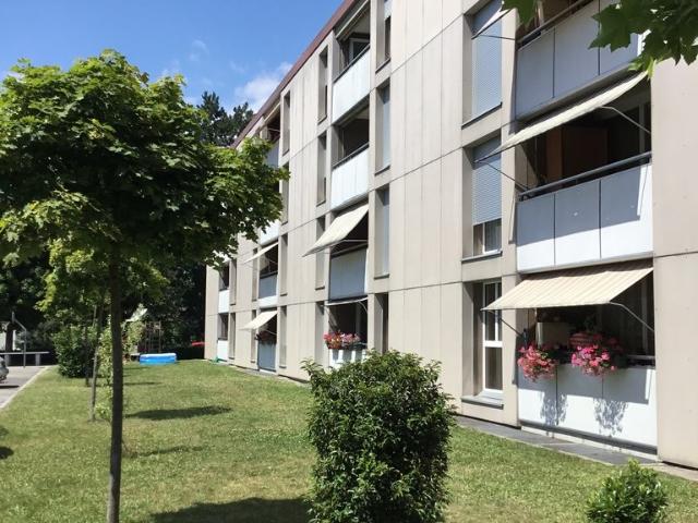 Rent a 2 rooms apartment in Buchs Flatfox