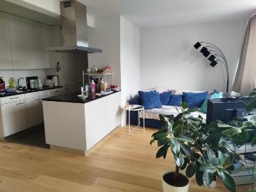 Rent a 2 ½ rooms apartment in Burgdorf Flatfox