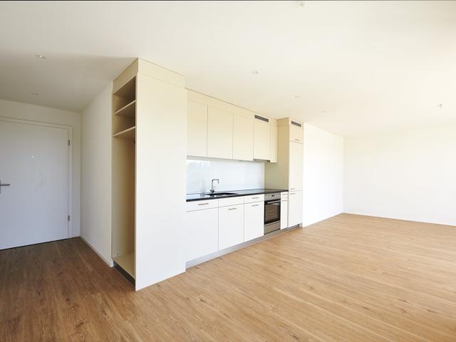 Rent a 2 ½ rooms apartment in Gerlafingen Flatfox