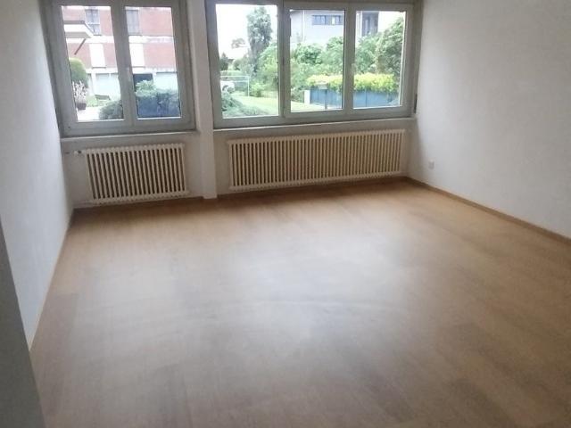 Rent a 2 ½ rooms apartment in Giubiasco Flatfox