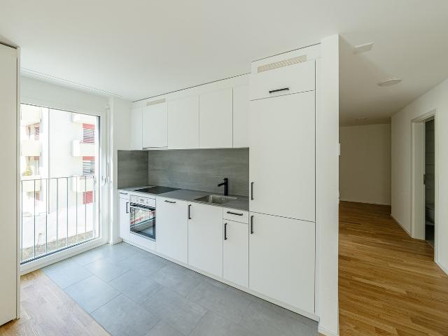 Rent a 2 ½ rooms apartment in Glis Flatfox