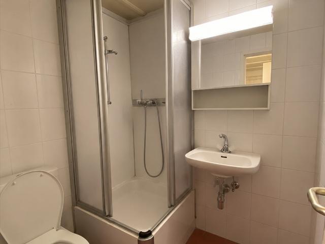Rent a 2 rooms apartment in Grandvillard Flatfox