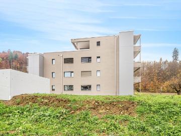 Rent a 2 ½ rooms apartment in Gränichen Flatfox