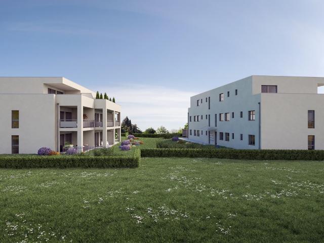 Rent a 2 ½ rooms apartment in Deitingen Flatfox