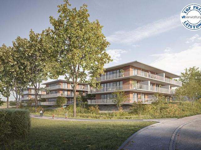 Rent a 2 ½ rooms apartment in Deitingen Flatfox
