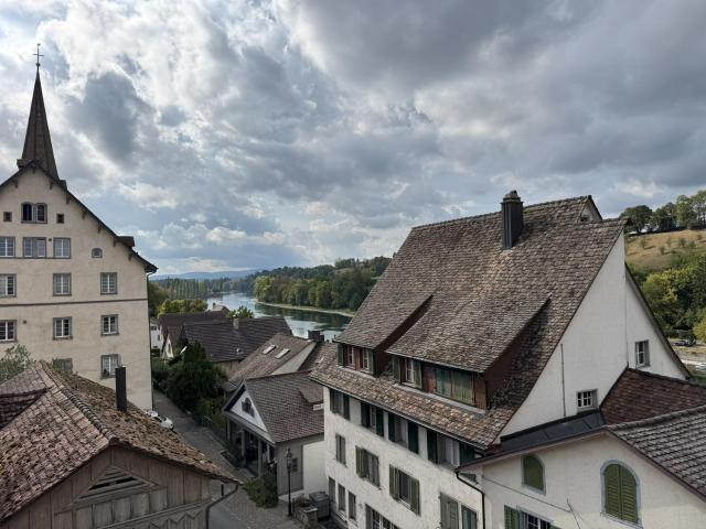 Rent a 2 ½ rooms apartment in Diessenhofen Flatfox