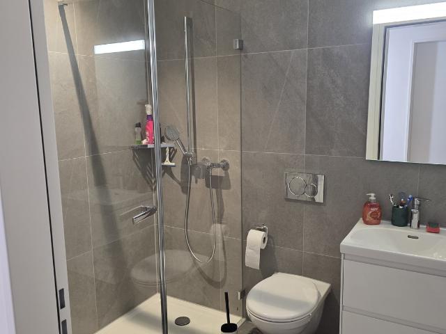 Rent a 2 ½ rooms apartment in Dietikon Flatfox