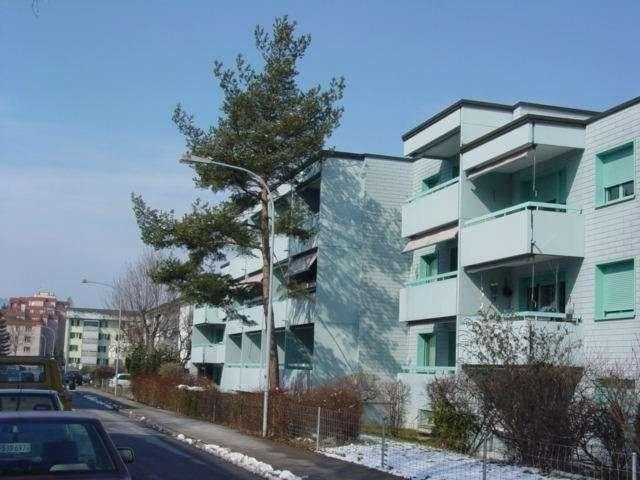 Rent a 2 rooms apartment in Dietikon Flatfox