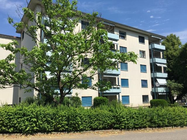 Rent a 2 ½ rooms apartment in Dietikon Flatfox