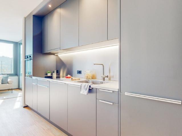 Rent a 2 ½ rooms apartment in Emmenbrücke Flatfox