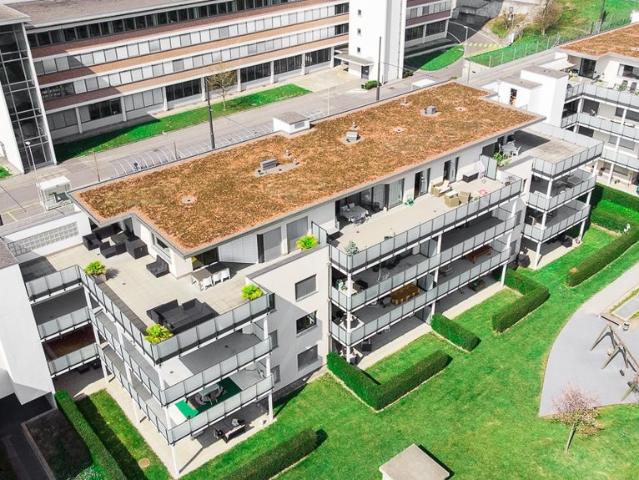 Rent a 2 ½ rooms apartment in Ebikon Flatfox