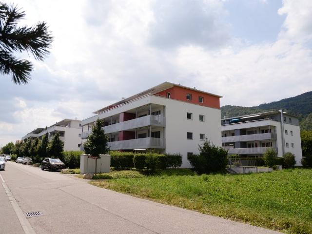 Rent a 2 ½ rooms apartment in Egerkingen Flatfox
