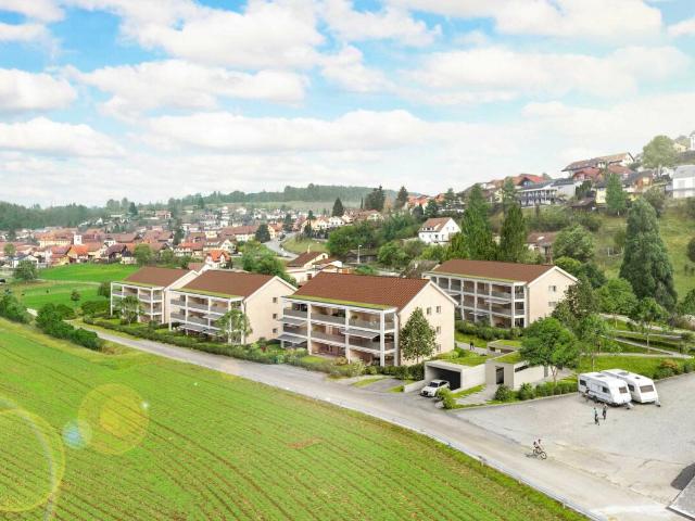 Rent a 2 ½ rooms apartment in Egliswil Flatfox