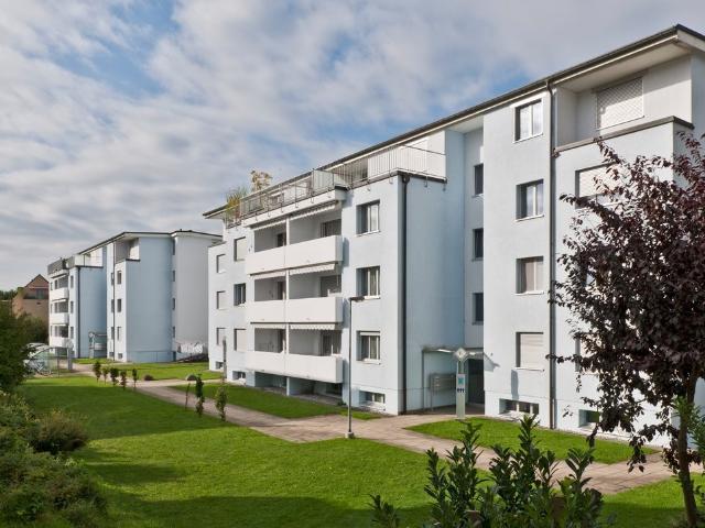 Rent a 2 rooms apartment in Fislisbach Flatfox