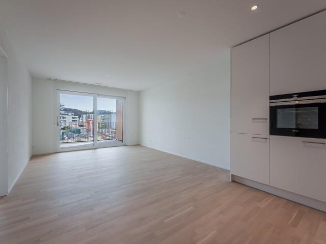 Rent a 2 ½ rooms apartment in Kaiseraugst Flatfox
