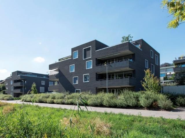 Rent a 2 ½ rooms apartment in Küttigen Rombach Flatfox