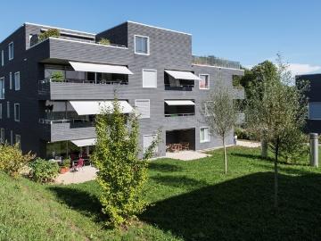 Rent a 2 ½ rooms apartment in Küttigen Rombach Flatfox