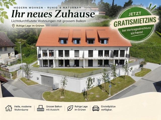 Rent a 2 ½ rooms apartment in Hettenschwil Flatfox